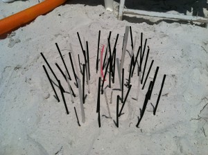 Beach Cleanup at South Beach @ Marco Island South Beach