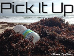 Beach Cleanup at Tigertail Beach @ Tigertail Beach Park