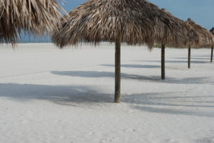 Beach Cleanup @ Marco Island South Beach