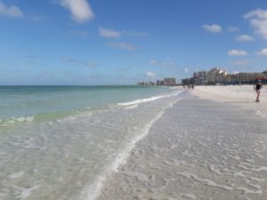 Beach Cleanup @ Marco Island South Beach